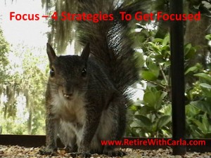 Focus Can you be this focused on your home business